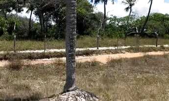 Imagem 4: Chácara Pé na areia - Praia dos Corais ALCOBAÇA - BA