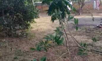 Imagem 6: Chácara próx de feira