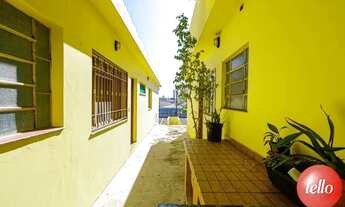 Imagem 4: São Paulo - Casa Padrão - Vila Maria