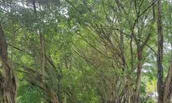 Imagem 3: Reserva dos lagos - Fazenda Boa Luz