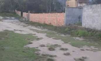 Imagem 4: Terreno massaguaçu