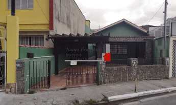 Imagem: SÃO PAULO - Casa Padrão - Limão