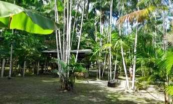 Imagem 4: Sítio Itaqui castanhal 4 km Br