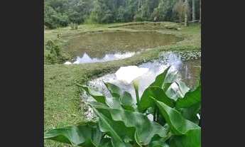 Imagem: Troco ou vendo Linda chácara