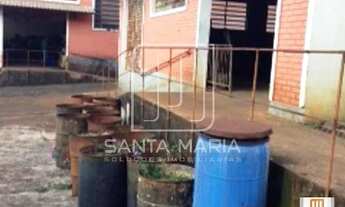 Imagem 6: Salão/Galpão (salão - sobradinho parte inferior) 2 dormitórios/suite