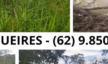 Imagem: Fazenda Sitio a Venda Em Tocantins Roça