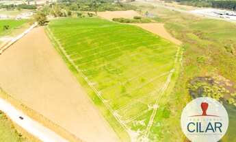 Imagem 2: Mandirituba - Terreno Padrão