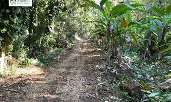 Imagem: Área à venda no bairro Rio Sagrado - Morretes/PR