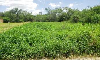 Imagem 3: BARBADA - Lote na NOVA PALHOÇA