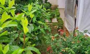 Imagem 4: SOBRADO EM CONDOMINIO 3 DORMITÓRIOS, 2 SUITES HIDROMASSAGEM SAUNA 2 VAGAS