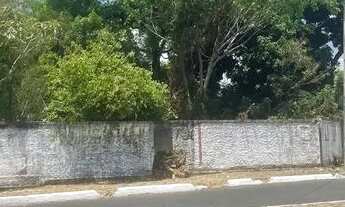 Imagem 4: Ponto comercial disponível para locação