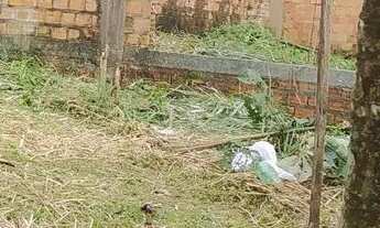 Imagem 2: Construção em mosqueiro