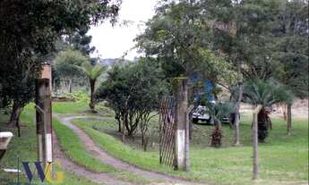Imagem: Chácara para Venda em Balsa Nova, Centro