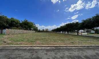 Imagem: Lotes no Polinésia