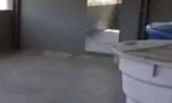 Imagem: Aluga-se apto Leopoldina