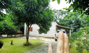 Imagem 4: Vendo chacara em Viana