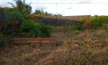 Imagem 2: Terreno 10x15 próximo da estrada de Genipabu