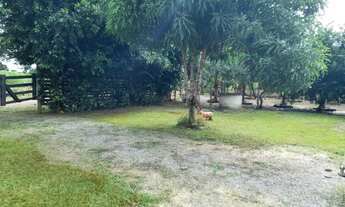 Imagem 5: Vendo chacara em Viana