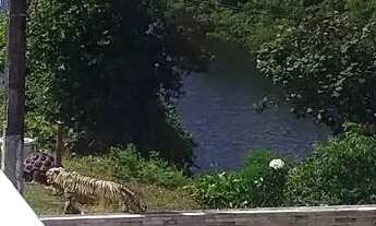 Imagem 7: Casa Praia de tabatinga