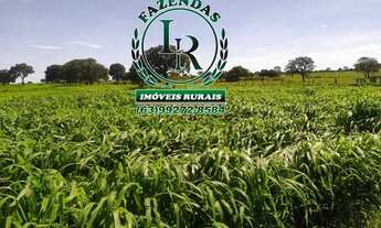 Imagem: Fazenda 83.5 Alqueires Vale do Araguaia