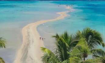 Imagem 4: Imóvel para venda possui 22 metros quadrados com 1 quarto em Peroba - Maragogi - AL