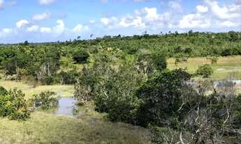 Imagem 3: Fazenda 80 tarefas Vila Margarida / Itanagra