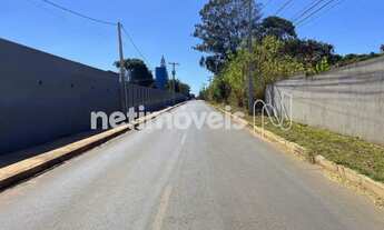 Imagem 3: Rua Alameda dos Ipês