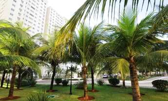 Imagem 7: Alugo apto 2 qtos com suite semimobiliado