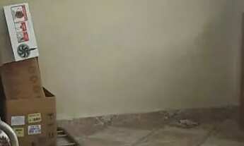 Imagem 7: Casa para residencia ou comercio: conveniência, clinicas, Pet shops, Bairro esta moderni