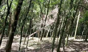 Imagem 2: Terreno com 2556m² Linha 40 no Bairro Nossa Senhora da Saúde em Caxias do Sul