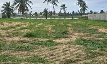 Imagem 5: Damha fundo lago promoção