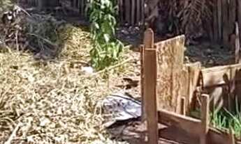 Imagem 6: Vende-se terreno em nobres. Ótimo preço