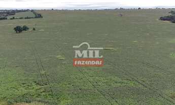 Imagem 4: Fazenda 24 Alqueires (116.16 Hectares) Pires do Rio - GO