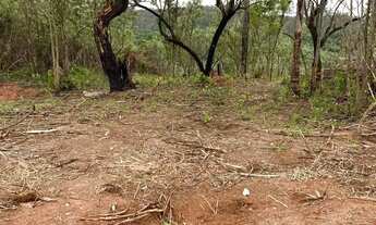 Imagem 6: Imóvel para venda tem 600 metros quadrados em Terra Preta (Terra Preta) - Mairiporã - SP