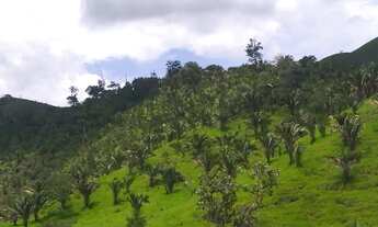 Imagem 2: FAZENDA 337 ALQUEIRES NIQUELANDIA - GO