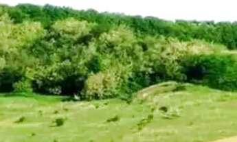 Imagem: Terreno em São Roque Potencial de Valorização