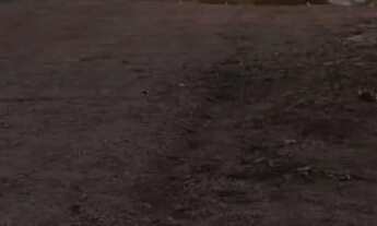 Imagem 4: Venda de um Lote no lago norte