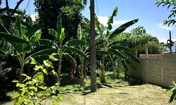 Imagem 5: Vende-se sítio em Cosmos