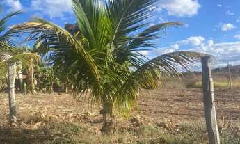 Imagem 4: Fazenda/Sítio/Chácara para venda possui 90 metros quadrados em Canabrava - Francisco Sá
