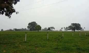 Imagem 2: Chácara Completa de 7 Alqueires à Venda em São Luís de Montes Belos GO