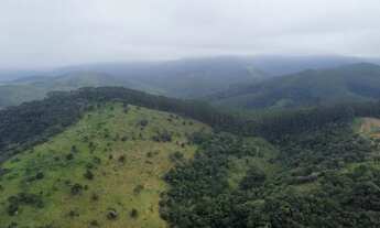 Imagem 7: Área de 20.000m2 na estrada Tremembe/Campos do Jordão