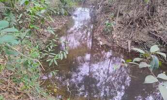 Imagem 2: Chácara de 20.000m² no Pipiripau 2 - Passa Rio nos Fundos