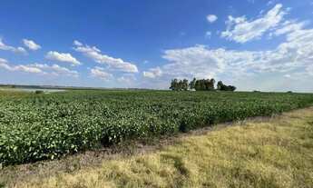 Imagem 4: Excelente oportunidade de Negócio Rural