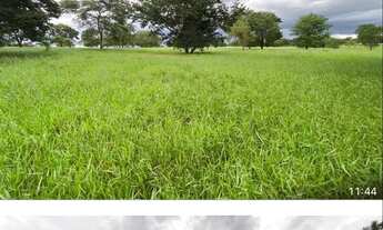 Imagem 5: Fazenda próximo Uberlândia