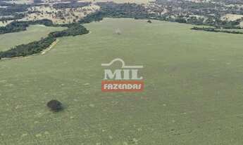 Imagem 5: Fazenda 24 Alqueires (116.16 Hectares) Pires do Rio - GO