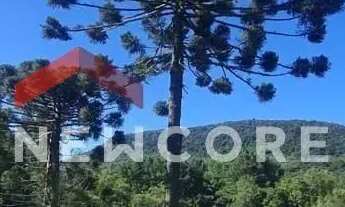 Imagem 5: Chácara em R S 235 Linha Araripe - Araripe - Gramado/RS