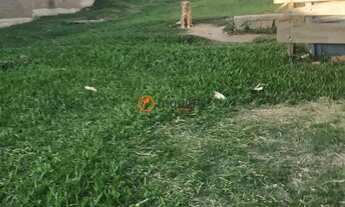 Imagem 7: Ampla área no entorno do Distrito industrial