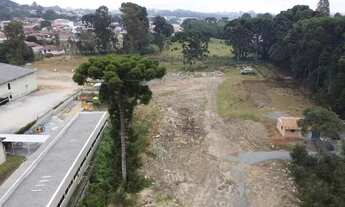 Imagem 5: Terreno de 12.000m² no Itaqui com ótima localização e potencial!