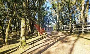 Imagem 7: Chácara dos Sonhos em São José dos Pinhais Natureza, Lazer e Conforto