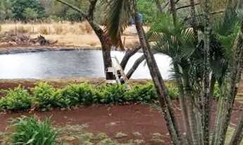 Imagem 6: Chácara meio alqueire